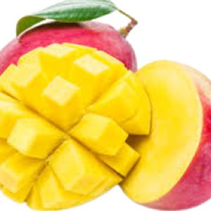 Mangue